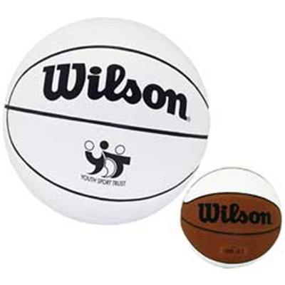 Custom Wilson Mini Autograph Basketball